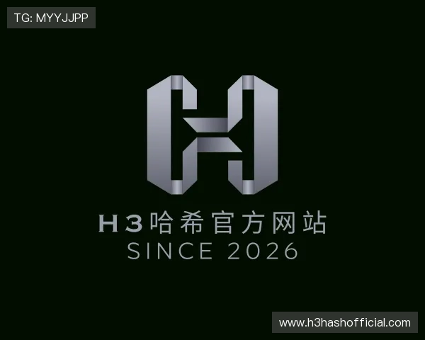 关于H3哈希官方网站